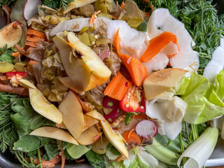 Organic waste after cooking in the kitchen for the composter in the garden