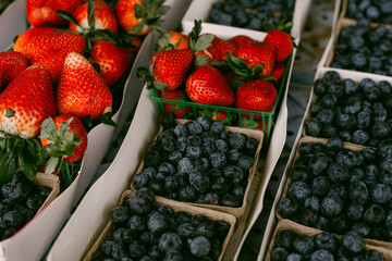 Fresh fruit for sale at farmer's market