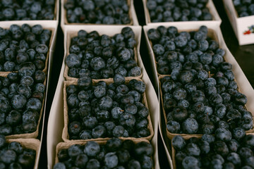 small baskets of blueberries at farmer's market