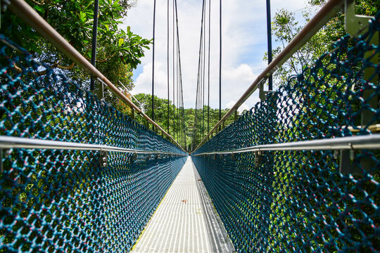 MacRitchie Reservoir Park in Singapore