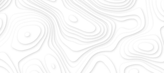 Abstract white luxury paper cut banner concept .abstract wavy line 3d paper cut white background texture .white wave paper curved reliefs background design .