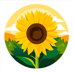 Golden sunflowers bask in the sun's warm embrace, their cheerful faces turned towards the light.