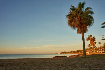Fototapeten playa de una isla con palmera © JOSE ANTONIO