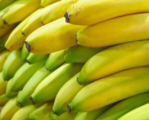 Group of unpeeled ripe bananas