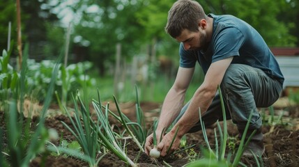 Fototapeta premium young adult farming onions