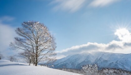 雪景色　一本の美しい樹氷のあるナチュラルで幻想的な冬の風景