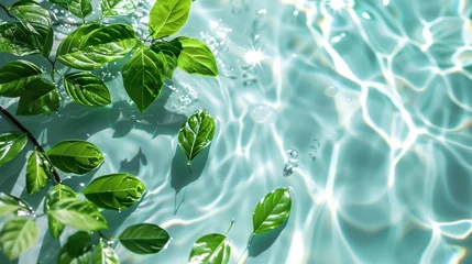 Fotobehang Spa Product Green leaves show clear water on a light background. Summer concept, flat lay, top view. background for the display of natural cosmetics. Nature background for luxury product placement © ND STOCK