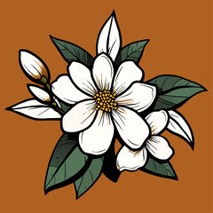 trend flowers jasmine  simple Design illustration