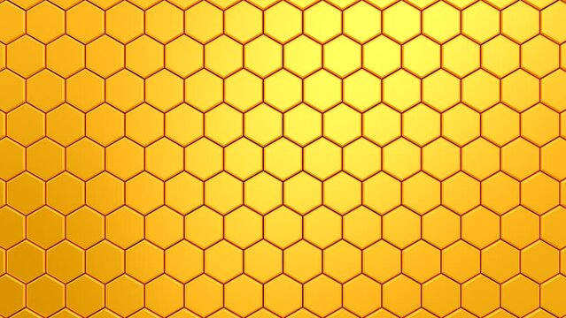 Hexagons Form A Wave. Abstract motion, loop, 6 in 1, 3d rendering, 4k resolution
