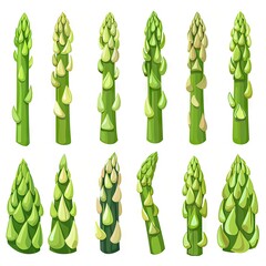 Asparagus plant icons isolated on white background.