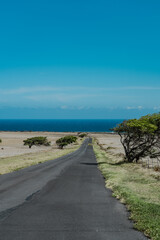 South Point Road, Big island, Hawaii. Ka Lae. Prosopis pallida is a species of mesquite tree. kiawe. huarango (in its native South America) and American carob. Neltuma pallida