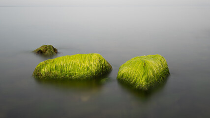 Bright Green Algae on Rocks - 760459061