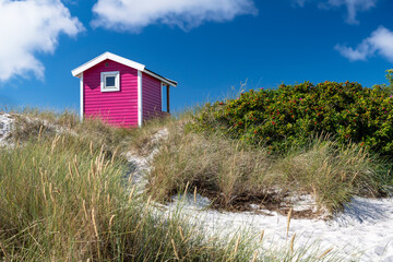 Beach House at Skanör Beach, Sweden - 760459062