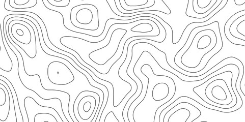 abstract white wave paper curved reliefs background. Topography map pattern, Geographic curved, vector illustration. seamless textrue, vintage waves. Panorama view multicolor wave curve line. 