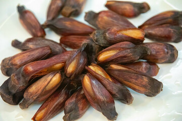 Ripe pine nuts, fruits of the Brazilian tree Araucaria angustifolia