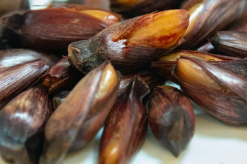 Ripe pine nuts, fruits of the Brazilian tree Araucaria angustifolia