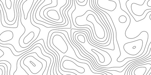 abstract white wave paper curved reliefs background. Topography map pattern, Geographic curved, vector illustration. seamless textrue, vintage waves. Panorama view multicolor wave curve line. 