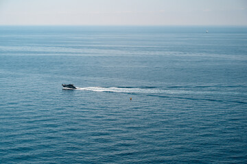 Fototapeta premium whale in the sea