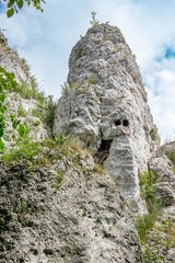 Wapienne skały, Jura Krakowsko-Częstochowska, Ogrodzieniec