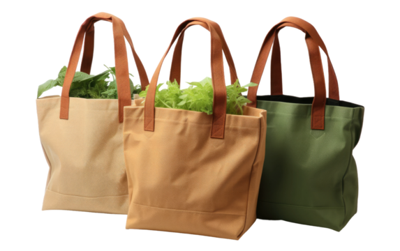 Three Bags Filled With Lettuce. On White or PNG Transparent Background.