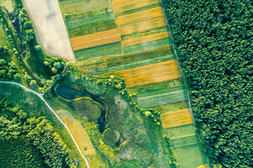 Beautiful summer landscape. View from above of the countryside. Stream and farmlands near a pine forest - 760473863