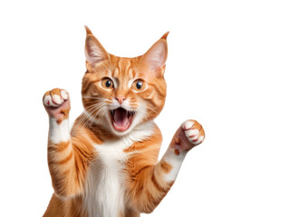 A cute orange cat  excited,Generative AI