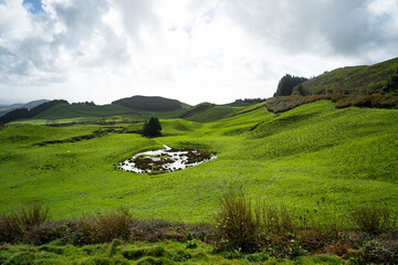 Green nature. Forests, meadows, and the ocean such a view is from The Miradouro Do Pico Paul Mountain Viewpoint. Azores, Portugal