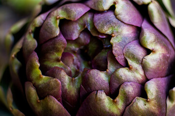 details of artichoke in roma's market 