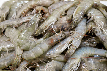 Details of fresh shrimps market in rome 