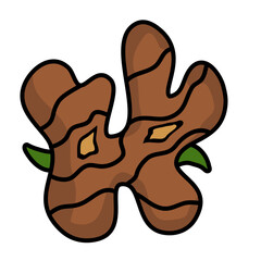 Ginger Vector Illustration 