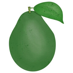 Avocado hand drawn fruit
