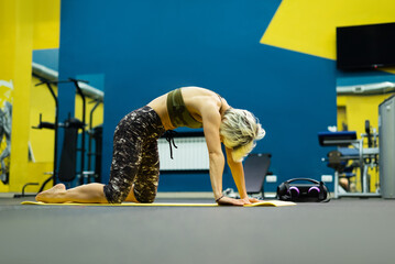 a slender athletic woman in the gym is beautifully engaged in yoga exercises on a mat