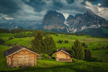 Fototapeta na wymiar Log huts on the green meadow in the Dolomites, Italy