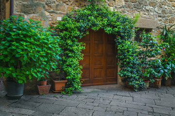 Cozy entrance decorated with beautiful green plants - 760489476