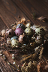 Obraz premium Easter decoration. Painted quail eggs in a nest of twigs and willow
