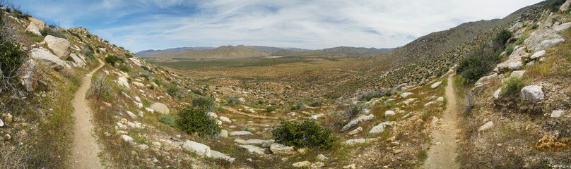 A panoramic view of a desert with a dirt road running through it