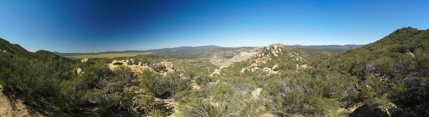 A panoramic view of a forest with a blue sky in the background