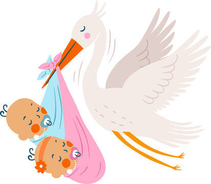 Stork bird with a baby twins announcement card. Baby Shower