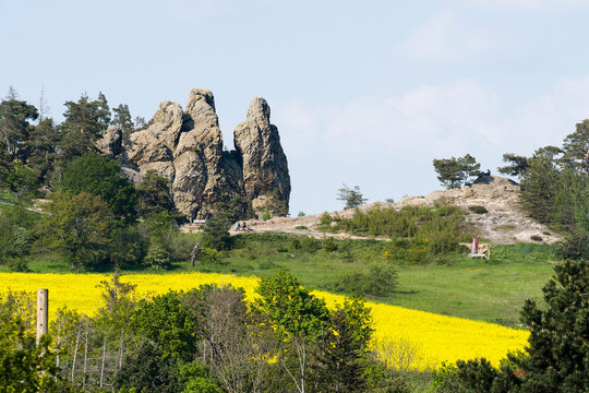 Teufelsmauer ( Harz ) mit Hamburger Wappen bei Timmenrode	