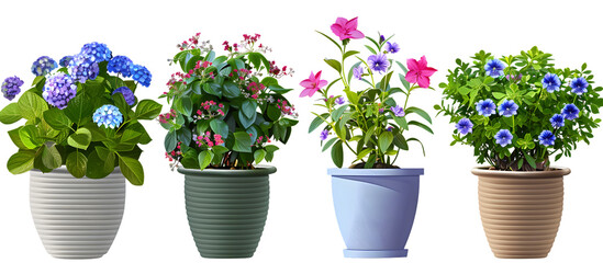 4 potted plants with different colors and flowers, transparent background PNG file