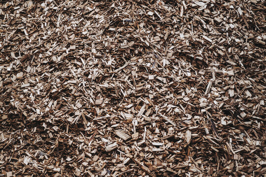 "Copeaux De Bois" Images – Browse 198 Stock Photos, Vectors, and Video ...