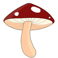 mushroom cartoon illustration