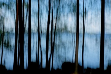 Intentional camera movement (ICM) of silhouette trees on lake shore in sunny spring weather, Päijänne, Finland.