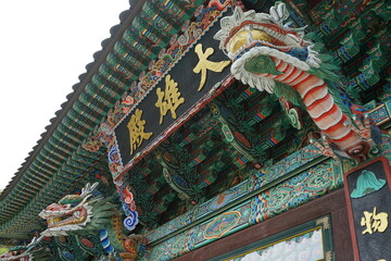 Obraz premium dragon