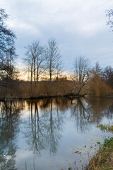 Winter lake, winter tree, winter landscape there