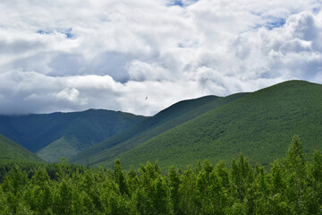 The green mountains of Sikhot.e-Alin. Dense forest covers the hills.