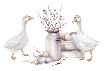 Cute watercolor illustration wooden box made of white gray with chicken and quail eggs and willow branches. Goose and bouquet of in metal can. Hand drawn easter illustration isolated on background.