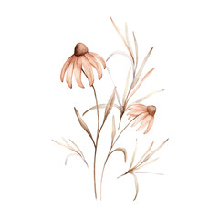 Fototapeta na wymiar Watercolor bouquet botanical autumn illustration echinacea branches flowers and herbs. Autumn floral illustration. Hand painted drawing isolated on white background. Floral composition pastel color
