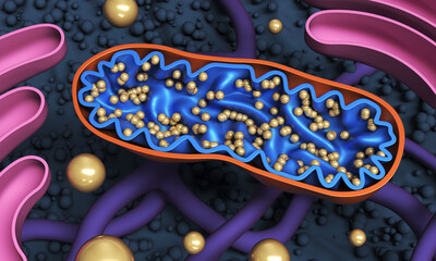 Mitochondria - cell organelle close-up. 3d illustration