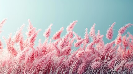 Pink grass swaying against a monochromatic background. Cinematic, minimal, stunning, calm.